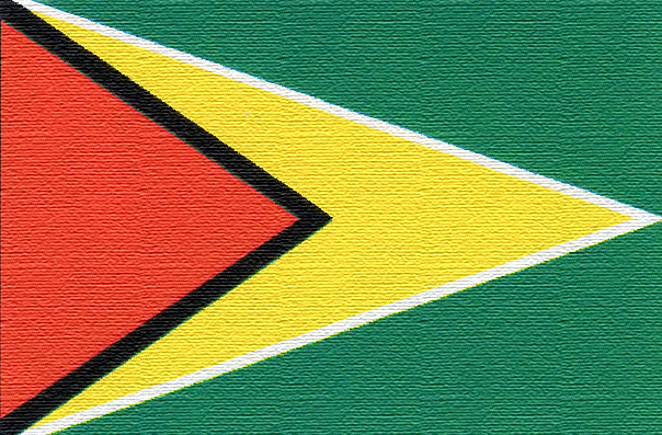 bandiera guyana