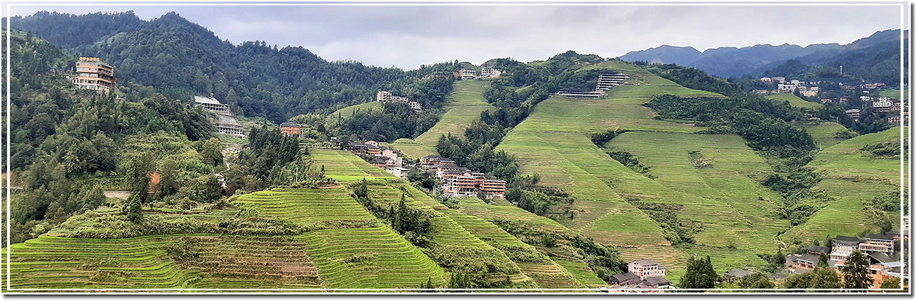 Risaie a Terrazze di Longji