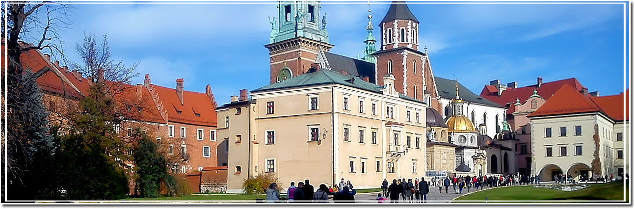 castello wawel