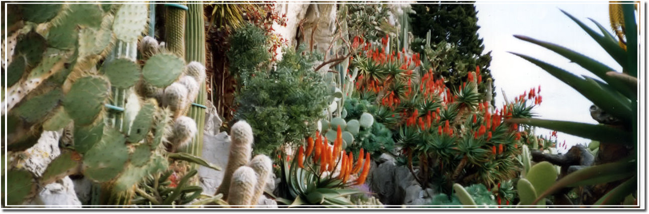 Giardino Esotico