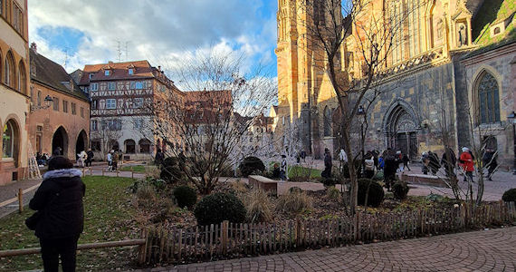 cattedrale di colmar