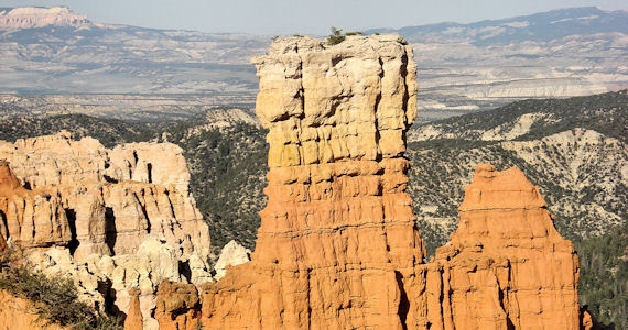 Paesaggio bryce canyon