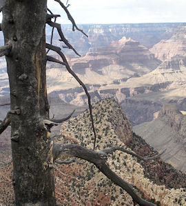 Panorama grand canyon