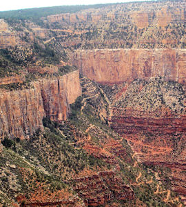 sentiero nel grand canyon