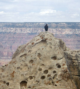 veduta grand canyon