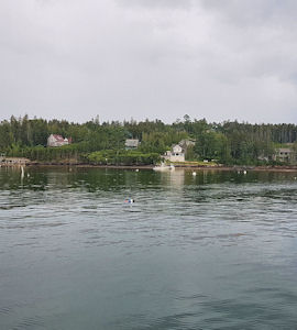 bas harbour isola di mount desert