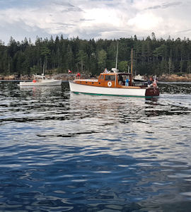 costa parco nazionale acadia nel maine