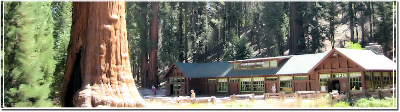 Parco Nazionale di Sequoia e Kings Canyon